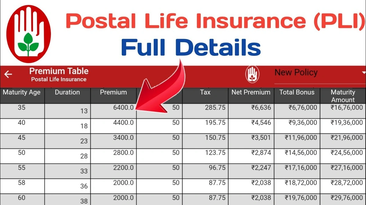 The Magic Behind the Machine: How theLife Insurance Premium CalculatorWorks